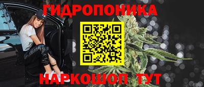 СК Бердск