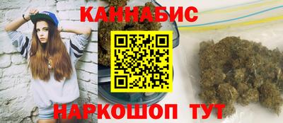 СК Бердск