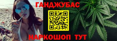 СК Бердск