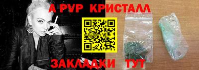 СК Бердск