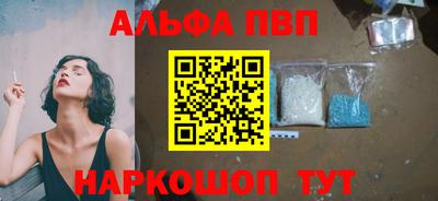СК Бердск