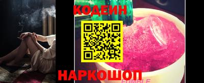 СК Бердск