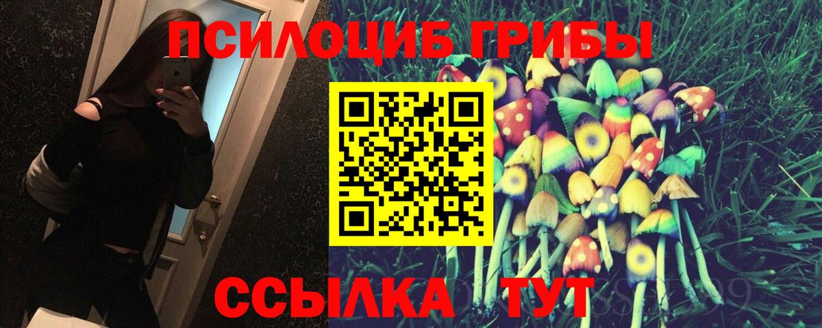 Псилоцибиновые грибы MAGIC MUSHROOMS  Вход с VPN  как найти закладки  Кирово-Чепецк 